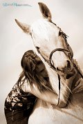 quarter horse, 15 ans, palomino