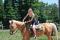 quarter horse, 15 ans, palomino