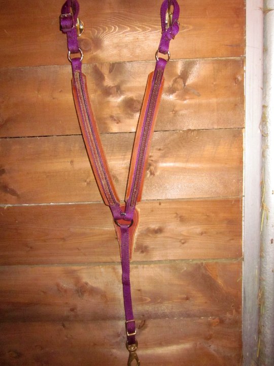 Martingale pour poney
