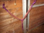 Martingale pour poney