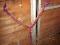Martingale pour poney