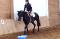 Jument Oldentburg/Thoroughbred