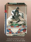 ponette welsh B PP 130cm 6ans idéale cso origines...
