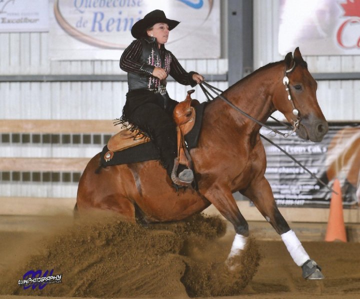 cheval de reining