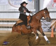 cheval de reining