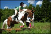 Moi et ma jument en 2008 lors d'un entraînement (concours complet) dans le parcours de cross country aux Écuries Nuage Blanc.