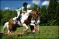 Moi et ma jument en 2008 lors d'un entraînement...