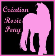  licols personnalisés *CRÉATION ROSIE PONY*