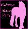  licols personnalisés *CRÉATION ROSIE PONY*