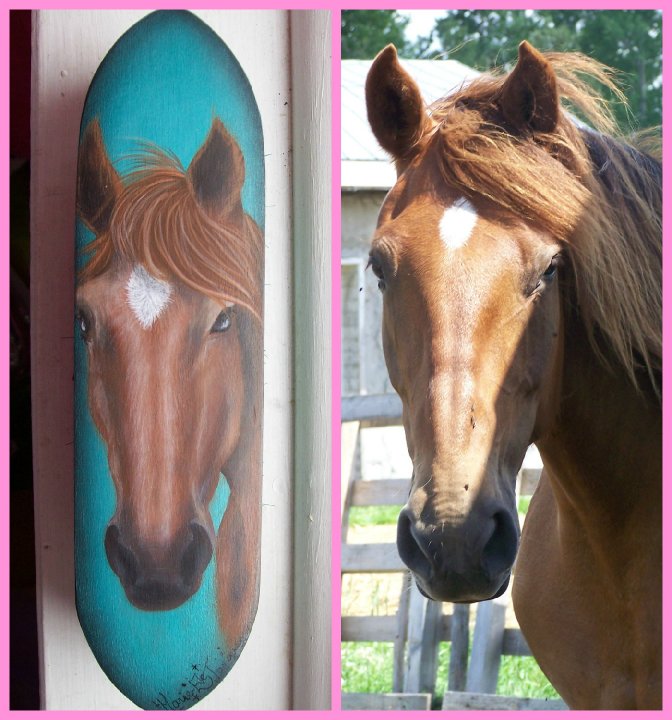 brosse décorative pour cheval / avec modèle