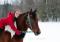 Tres bon cheval a vendre !! 