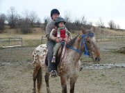 Jument appaloosa léopard plein papiers