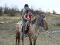 Jument appaloosa léopard plein papiers