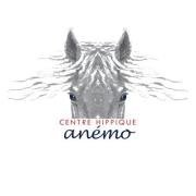 Le Centre hippique Anemo grandit, l'equipe est en...