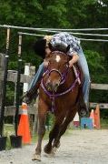18-19 juillet: Initiation au TREC (TREC2) - Outaouais