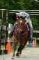 18-19 juillet: Initiation au TREC (TREC2) -...