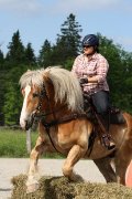 18-19 juillet: Initiation au TREC (TREC2) -...