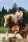 18-19 juillet: Initiation au TREC (TREC2) -...