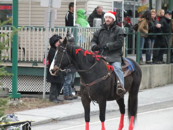 Guilding Quarter Horse Enr.