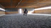 Barn COOP - COOP pension chevaux / à  louer- barn for rent