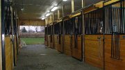 Barn COOP - COOP pension chevaux / à  louer- barn for rent