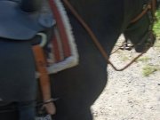 cheval ou demi cheval