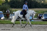 Donne belle jument contre bon soins