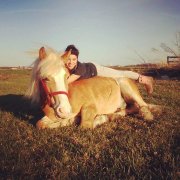 Cherche un emplois dans une écurie ou une ferme!!