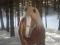 saillie etalon haflinger enr