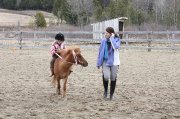 École d'équitation et Poney Club Myna Boutin - Candy & Naïla