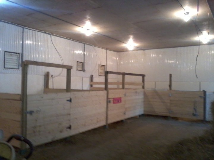 pension chevaux