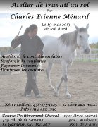 Clinique de TRAVAIL AU SOL avec Charles-Étienne...