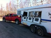 Transport de Chevaux**Prix Compétitif/ Estimation...