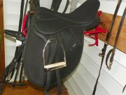 Selle Anglaise Tout Usage