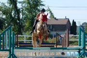 cours d'équitation classique