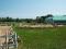 Le rond pen
