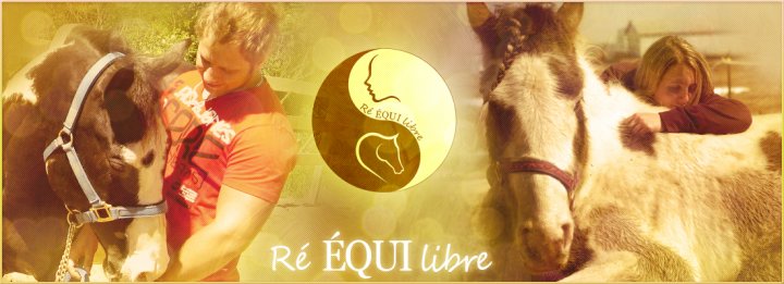 www.reequilibre.ca