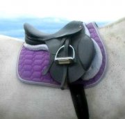 ***Selle anglaise à vendre! COMME NEUVE!***