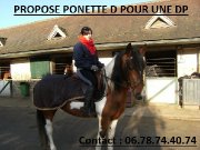 Ponette D 78 -28-91