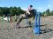 Tapis de selle pour saut d'obstacle et bandage...