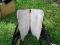 Billy cook selle western 15 pouces