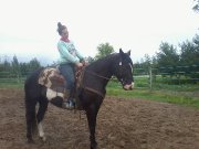 Beau guilding paint - Perfect et moi