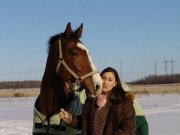 *Offre de demi-pension sur cheval de qualité à Chambly *