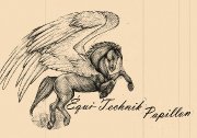 École Equi-Technik Papillon