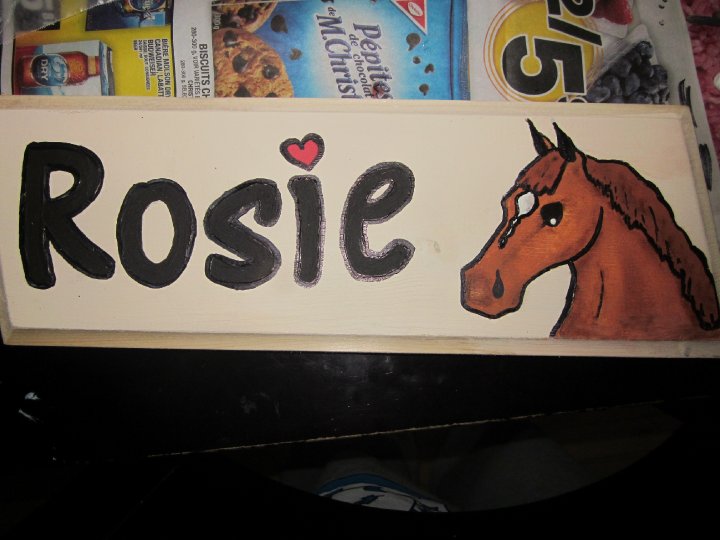 Dessin ou peinture de votre cheval - Plaque de boxe