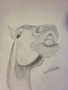 Dessin ou peinture de votre cheval - Dessin