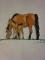 Dessin