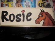Dessin ou peinture de votre cheval