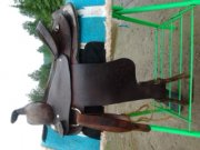 Jolie selle western!