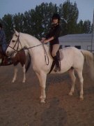Cherche écurie certifier pour cours classique